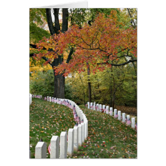 Veteran's Day