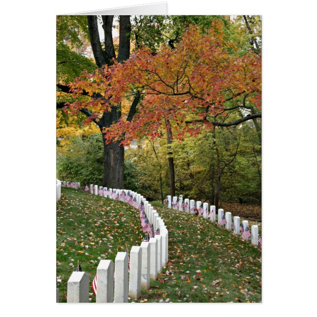 Veteran's Day (Front)