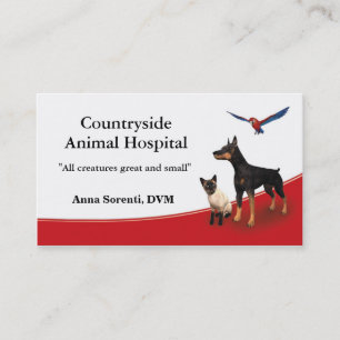 Veterinarian and Pet Care Business Card