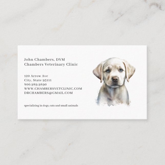 Veterinarian Business And Appointment Reminder Card (Front)