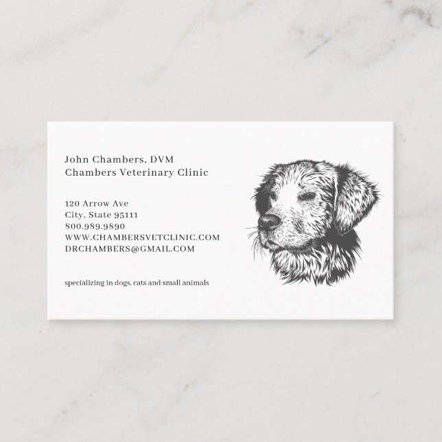 Veterinarian Business And Appointment Reminder Card (Front)