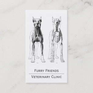 Veterinarian Business Card