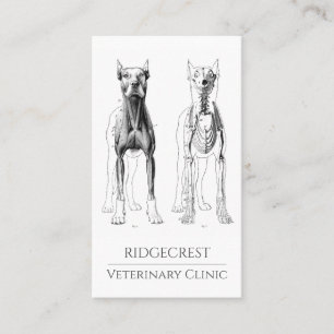 Veterinarian Business Card