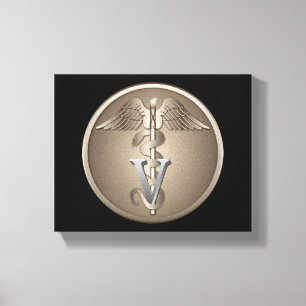 Veterinarian Caduceus Canvas Print