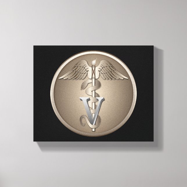 Veterinarian Caduceus Canvas Print (Front)