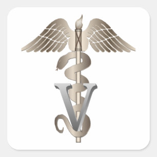 Veterinarian Caduceus Square Sticker