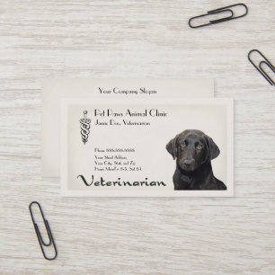 Veterinarian Clinic Animal Hospital Business Card