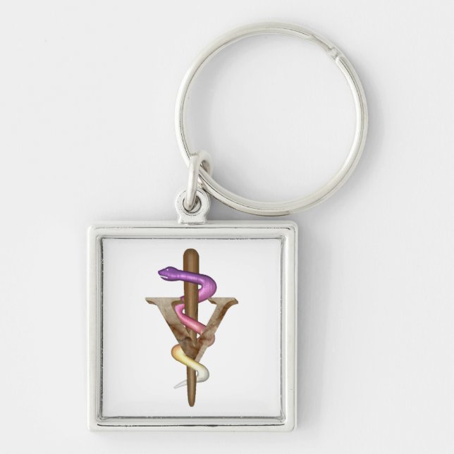 Veterinarian Emblem Key Ring (Front)