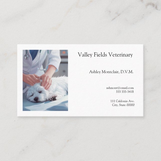 Veterinarian examines small dog business card (Front)