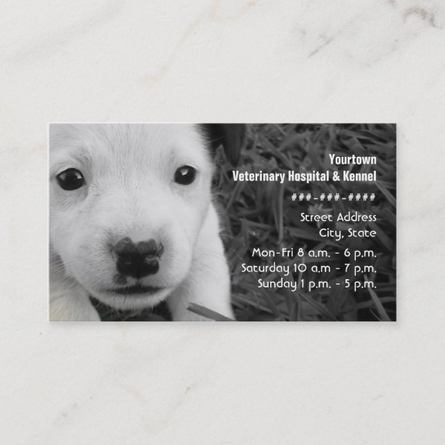 Veterinarian & Kennel Business Card - Jack Russell (Front)