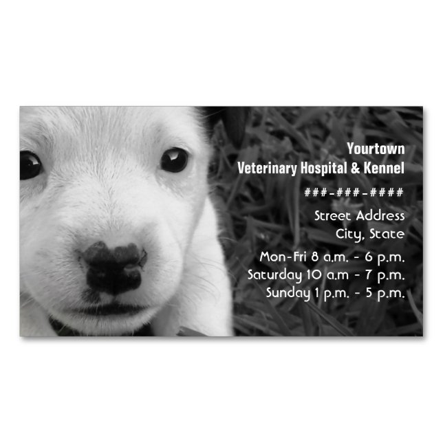 Veterinarian / Kennel Puppy Magnetic Business Card (Front)