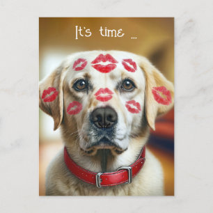 Veterinarian Labrador Retriever Kisses Postcard