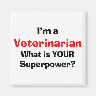 veterinarian magnet