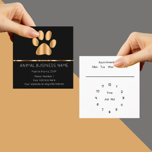 Veterinarian Office Appointment Classy Style Square Business Card