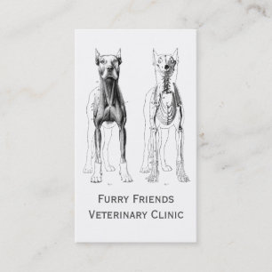 Veterinarian Or Veterinary Clinic Business Cards
