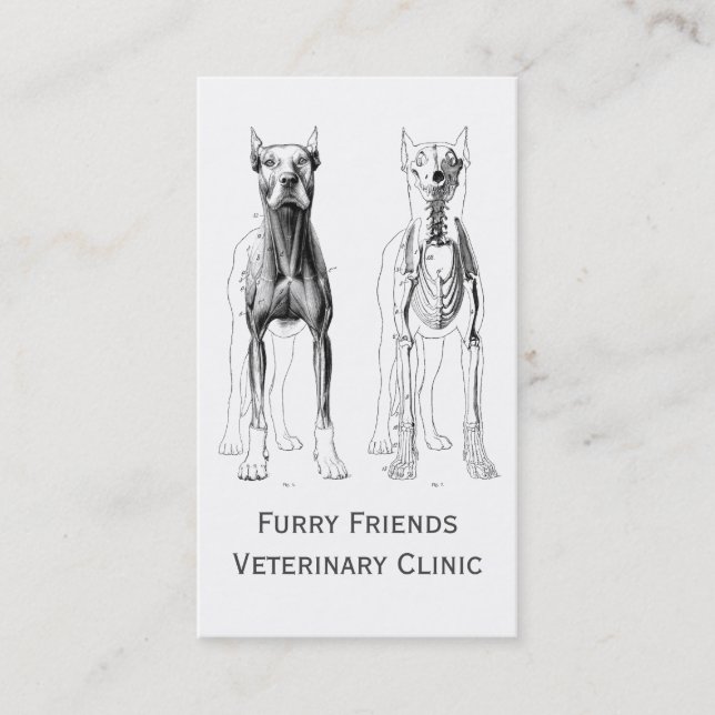 Veterinarian Or Veterinary Clinic Business Cards (Front)