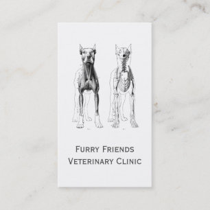 Veterinarian Or Veterinary Clinic Business Cards