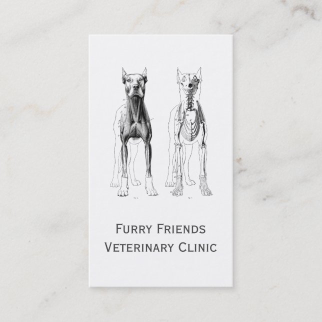 Veterinarian Or Veterinary Clinic Business Cards (Front)