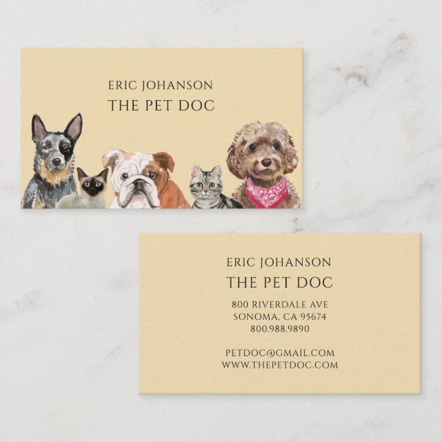 Veterinarian Painted Cats Dogs Business Card (Front/Back)