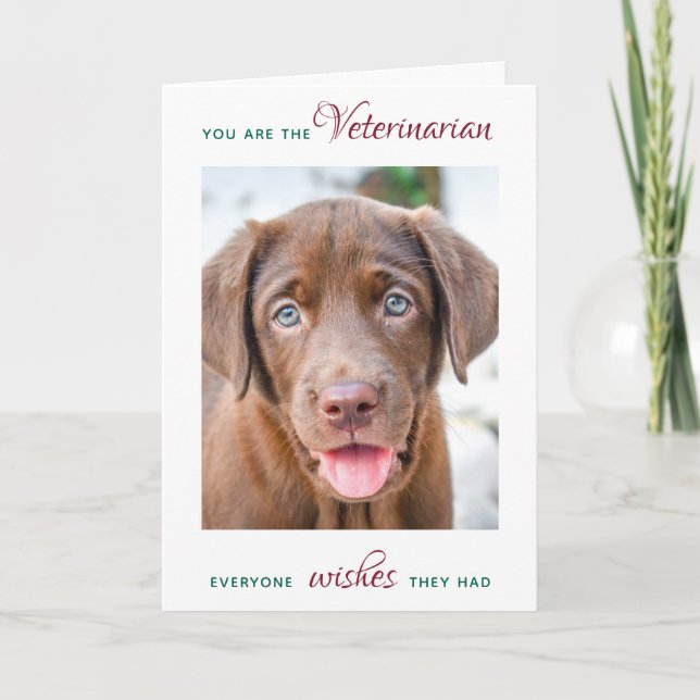 Veterinarian Personalised Christmas Pet Photo Holiday Card (Front)