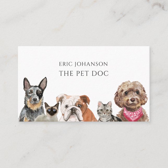 Veterinarian Pet Doctor Business Card (Front)