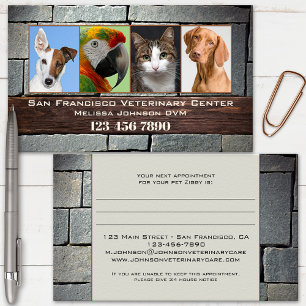 Veterinarian Photo Appointment Business Card