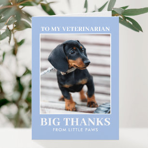 Veterinarian Thank You Pet Dog Photo Blue Modern Card