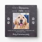 Veterinarian Thank You Veterinary Pet Photo