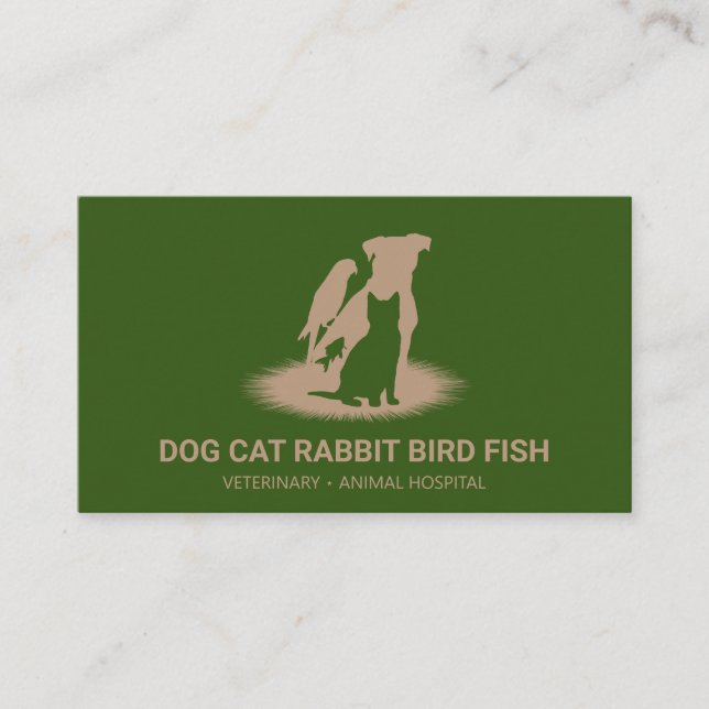Veterinarian Vet cat dog bird rabbit fish Business Card (Front)