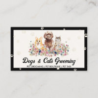 Veterinary Assistant Clinic Contact