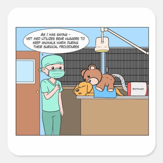 Veterinary Bear Hugger Surgery Sticker (Front)