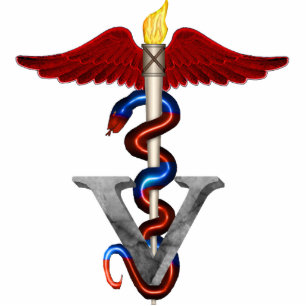 Veterinary Caduceus Standing Photo Sculpture