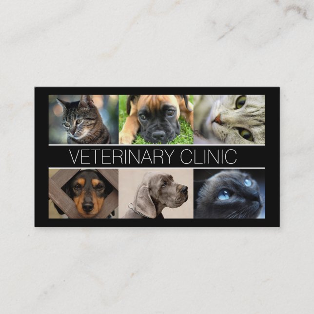 Veterinary Clinic Pet Care Business Card (Front)
