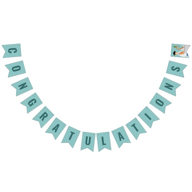 Veterinary Doctor Graduate Vet DVM Congratulations Bunting (All)