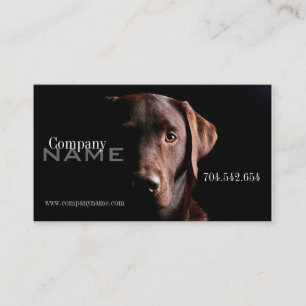 Veterinary Dog Doggy Pet Care Card Doctor Clinic