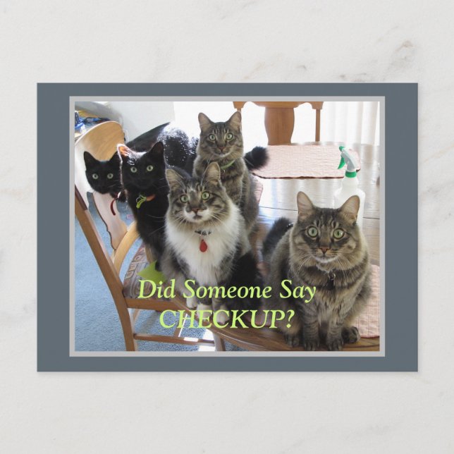 Veterinary Gang of Cats Checkup Postcard (Front)