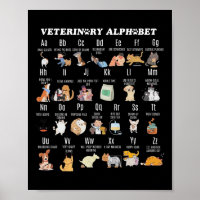 Veterinary Medicine Alphabet Vet Nurse Student Sch