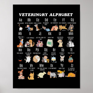 Veterinary Medicine Alphabet Vet Nurse Student Sch Poster