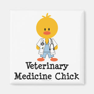 Veterinary Medicine Chick Magnet