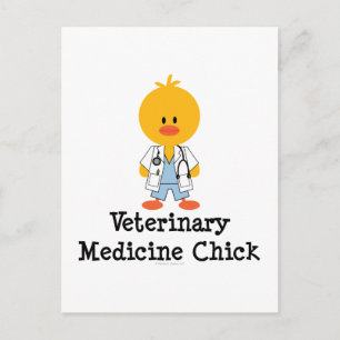 Veterinary Medicine Chick Postcard