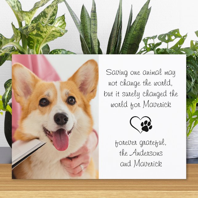Veterinary Poem Personalised Vet Dog Pet Photo Tha Thank You Card (Creator Uploaded)