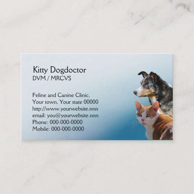 Veterinary practice appointment card (Front)