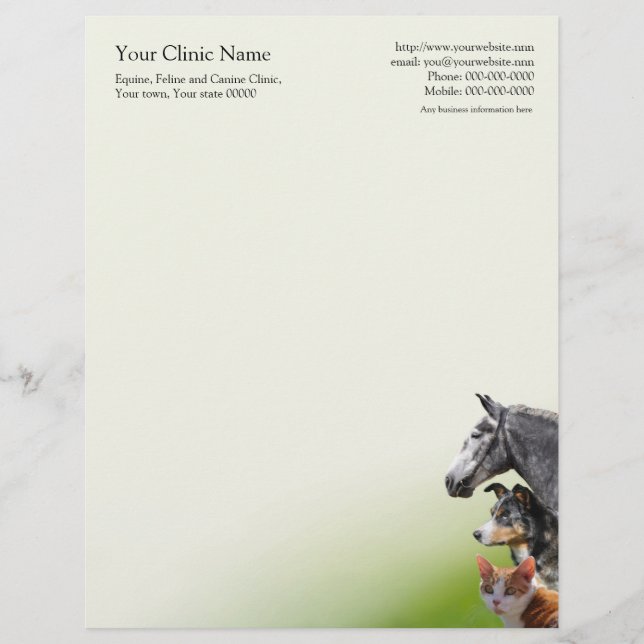 Veterinary surgeon business letterhead (Front)