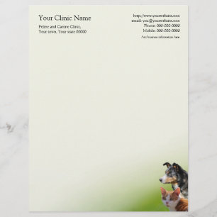 Veterinary surgeon business letterhead