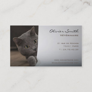 Veterinary surgeon, calling card cat