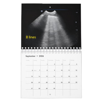 Veterinary Ultrasound Calendar