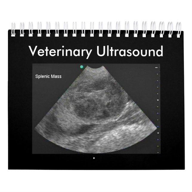 Veterinary Ultrasound Calendar (Cover)