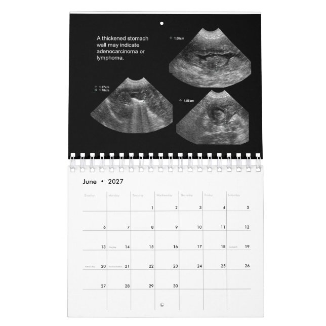 Veterinary Ultrasound Calendar (Jun 2027)