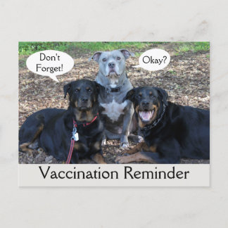 Veterinary Vaccination Doggie Family Postcard