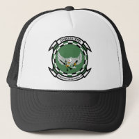 VFA - 195 Strike Fighter Squadron - Dambusters